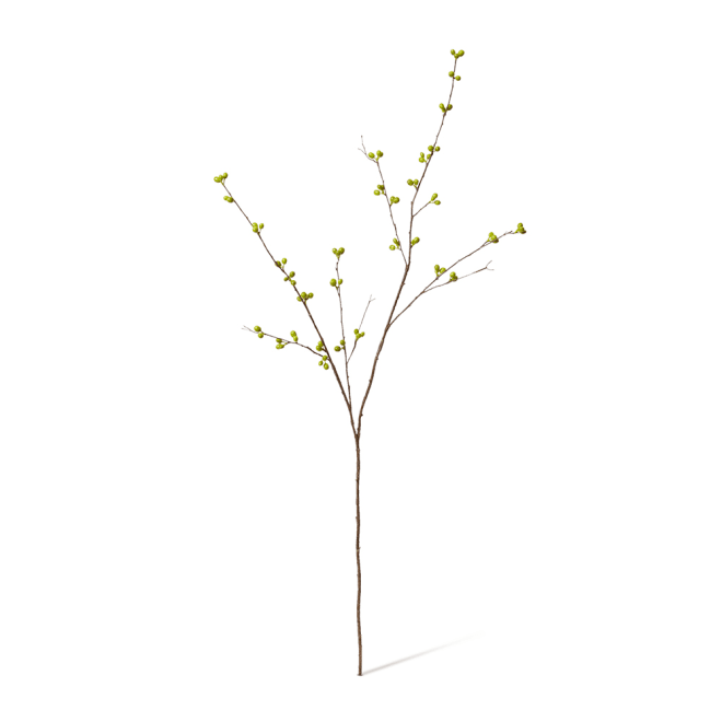 Bean Branch Pack Of 12 - Green, 129cm (H)