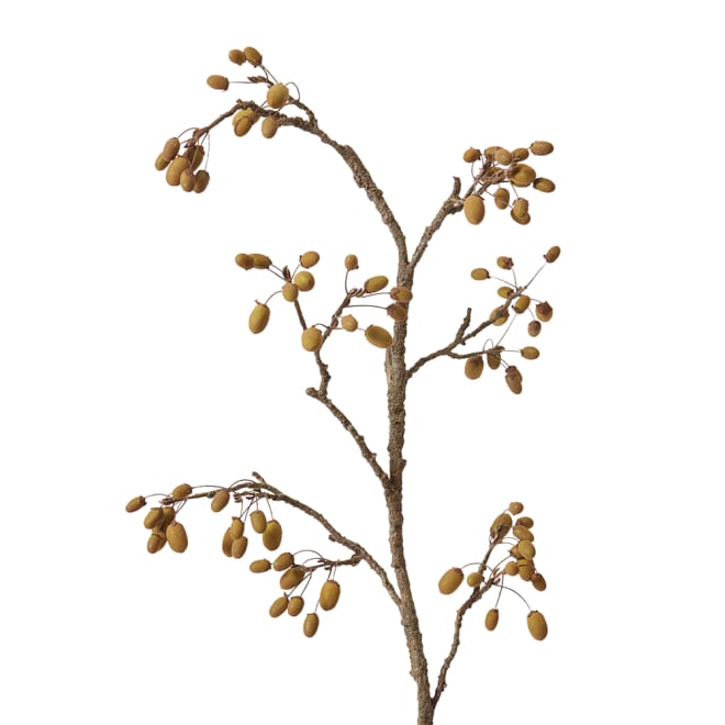 Wild Rosehip Branch Pack Of 6 - Natural, 114cm (H)