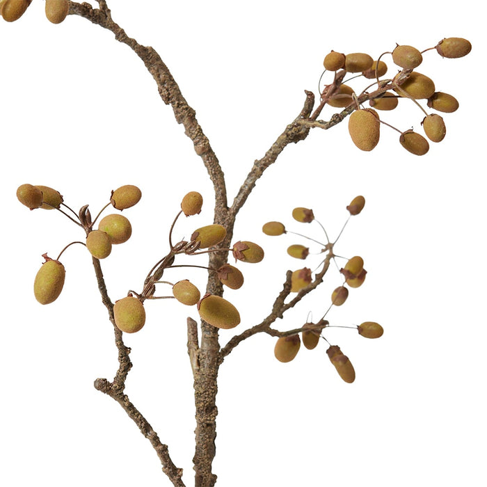 Wild Rosehip Branch Pack Of 6 - Natural, 114cm (H)
