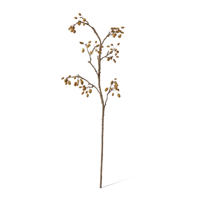 Wild Rosehip Branch Pack Of 6 - Natural, 114cm (H)