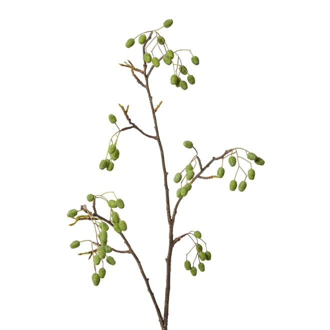 Catkins Spray Pack Of 12 - Green, 96cm (H)