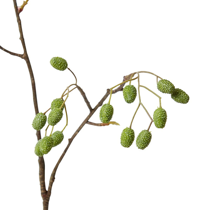 Catkins Spray Pack Of 12 - Green, 96cm (H)