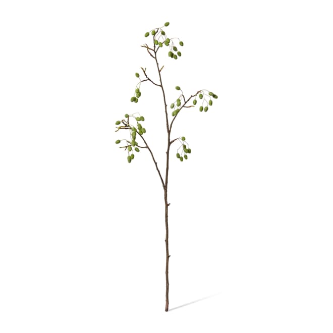 Catkins Spray Pack Of 12 - Green, 96cm (H)