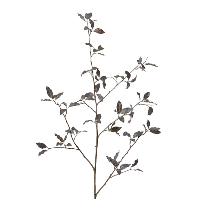 Pittosporum Branch Pack Of 12 - Dark Burgundy, 104cm (H)