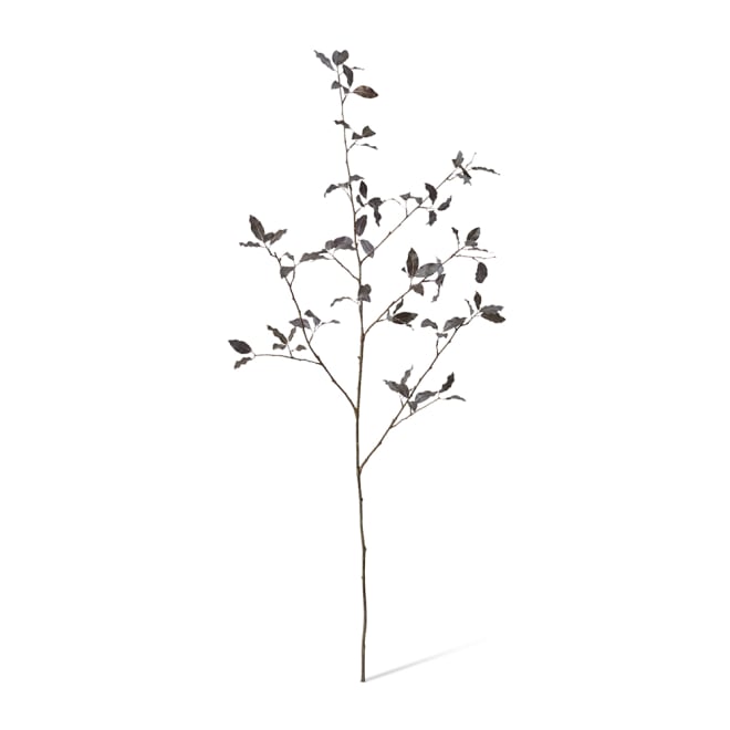 Pittosporum Branch Pack Of 12 - Dark Burgundy, 104cm (H)