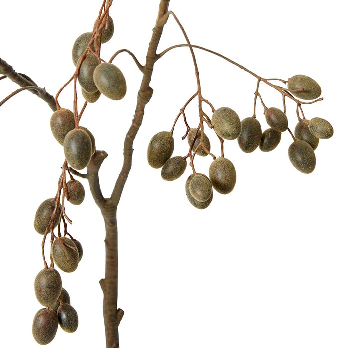 Barberry Branch Pack Of 6 - Dark Brown, 85cm (H)