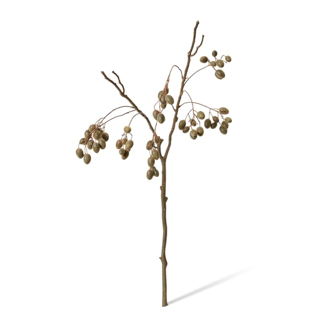 Barberry Branch Pack Of 6 - Dark Brown, 85cm (H)
