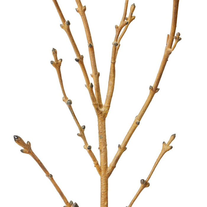 Tree Branch Pack Of 6 - Natural, 128cm (H)