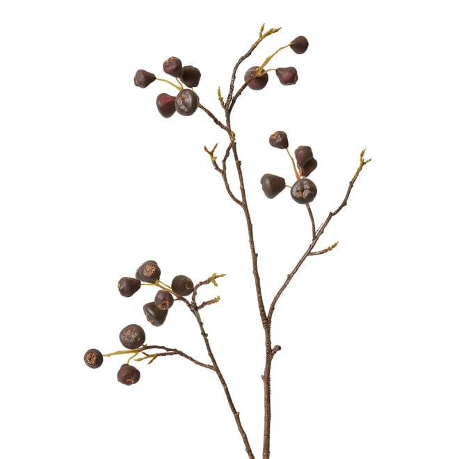 Mountain Apple Berry Branch Pack Of 12 - Burgundy, 91cm (H)