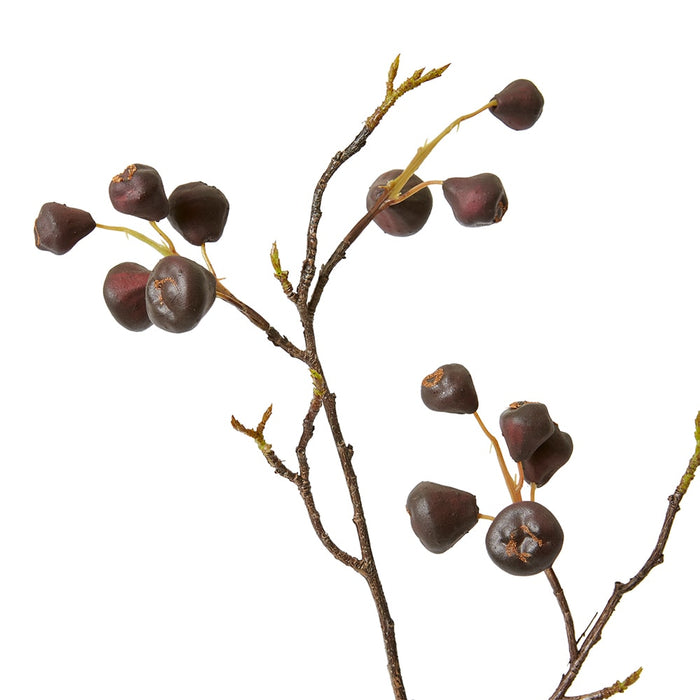 Mountain Apple Berry Branch Pack Of 12 - Burgundy, 91cm (H)