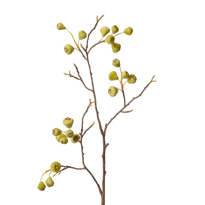 Mountain Apple Berry Branch Pack Of 12 - Green, 91cm (H)