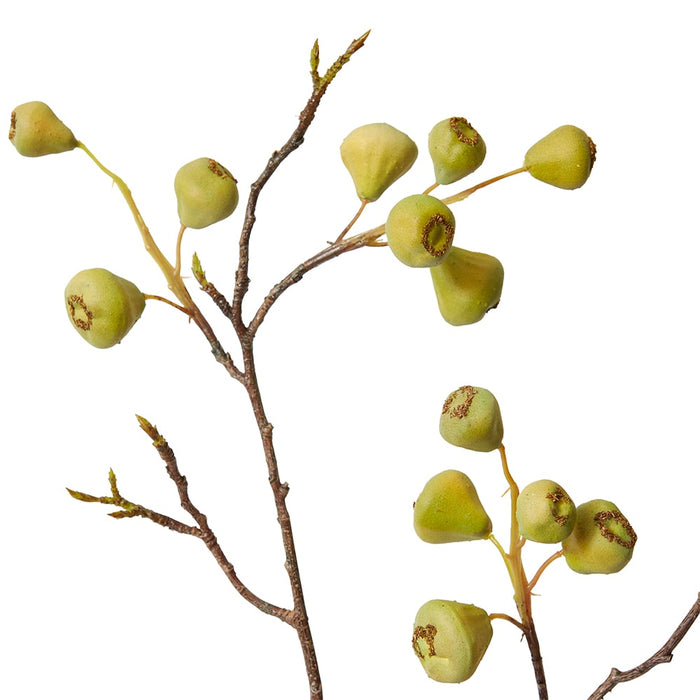 Mountain Apple Berry Branch Pack Of 12 - Green, 91cm (H)
