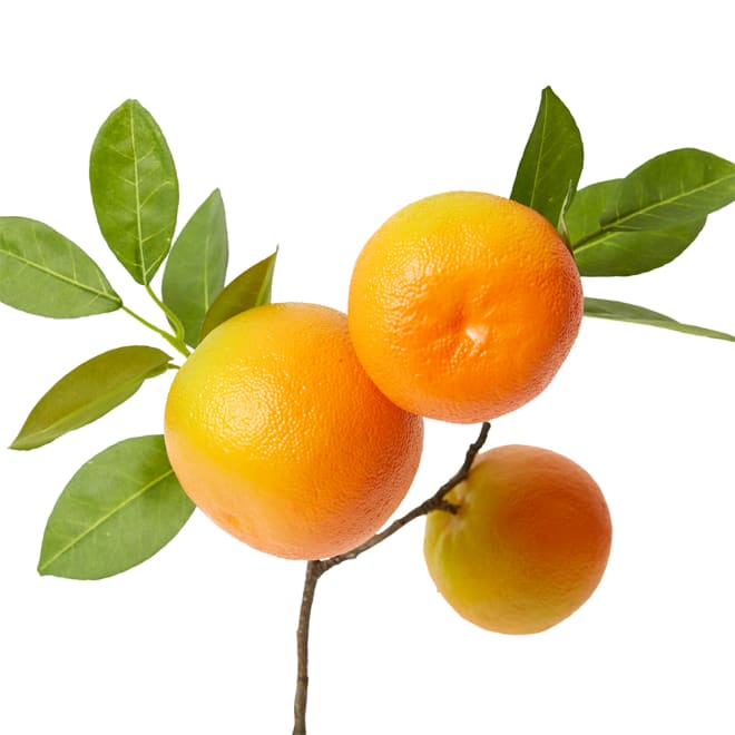 Orange Branch Spray Pack Of 12 - Orange, 52cm (H)