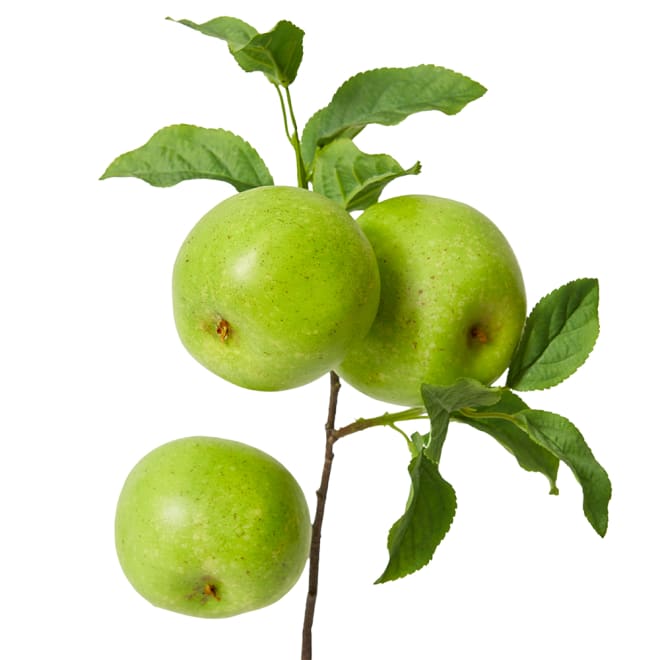 Apple Branch Spray Pack Of 12 - Green, 51cm (H)