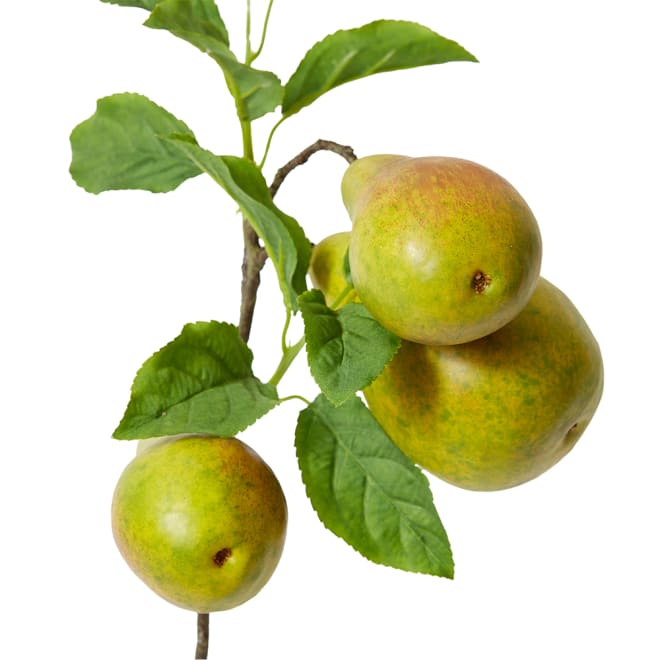 Pear Branch Spray Pack Of 12 - Green Brown, 53cm (H)