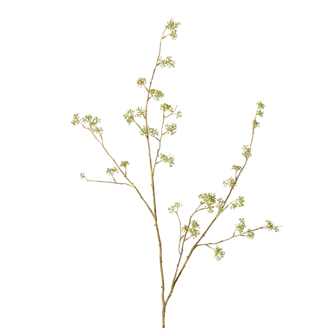 Seeding Eucalyptus Branch Pack Of 6 - Green Brown, 132cm (H)