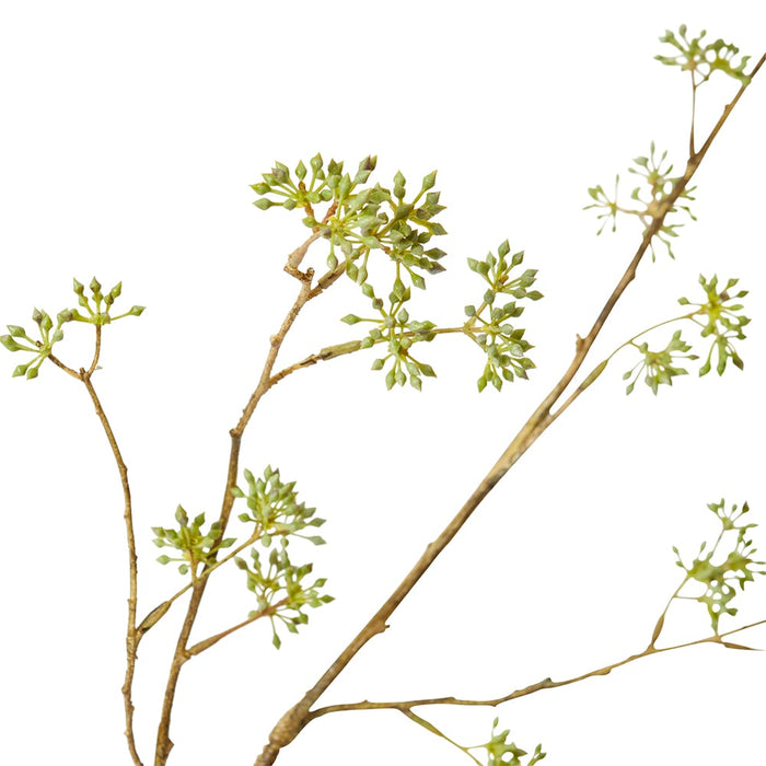 Seeding Eucalyptus Branch Pack Of 6 - Green Brown, 132cm (H)