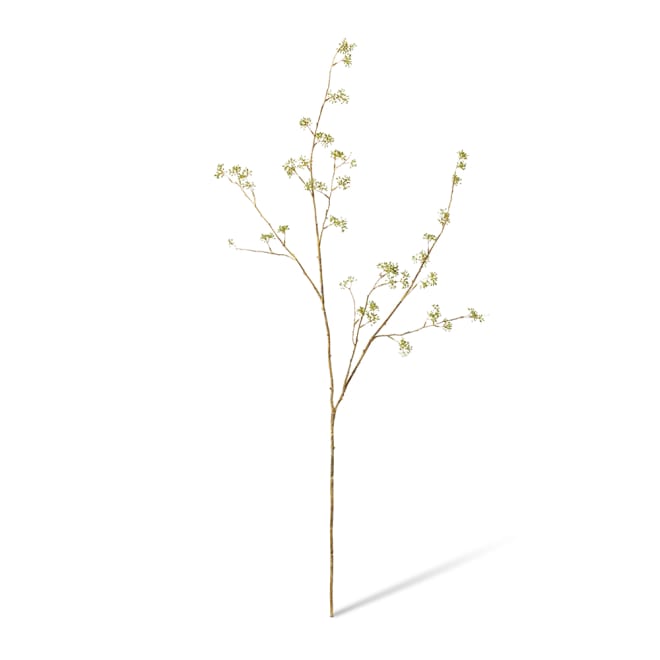 Seeding Eucalyptus Branch Pack Of 6 - Green Brown, 132cm (H)