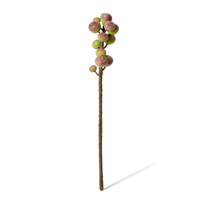 Fig Stem Pack of 12 - Green Brown, 56cm (H)