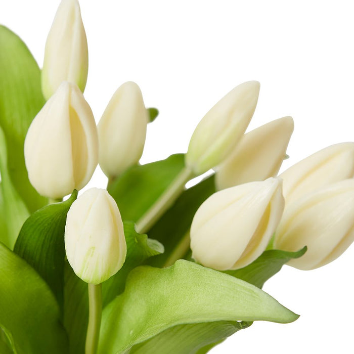 Tulip Bud White - White/Clear, 31cm (H)