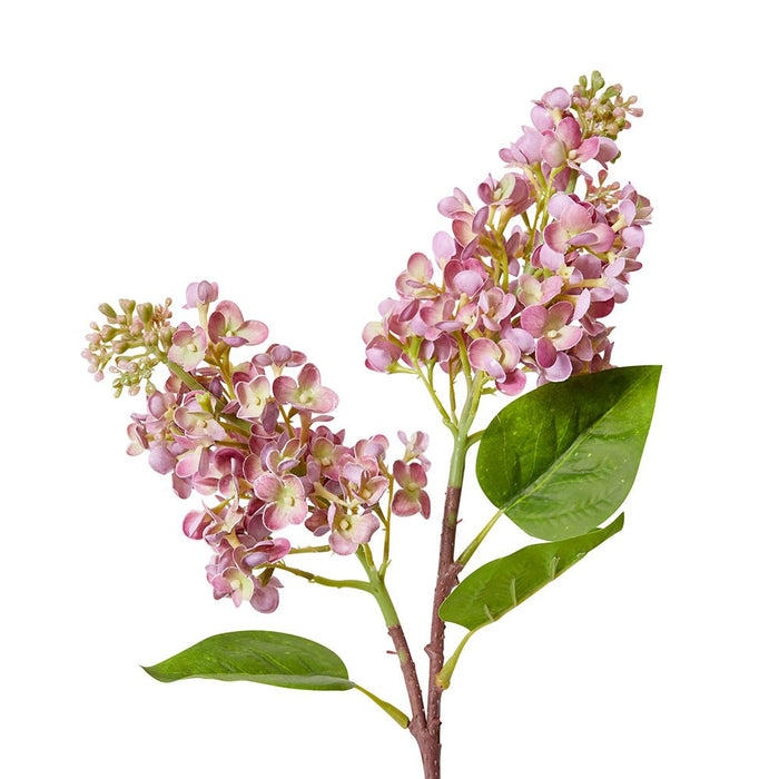 Lilac Spray Pack of 12 - Pink, 66cm (H)