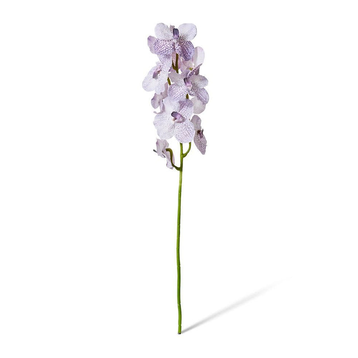 Vanda Orchid Pack of 12 - Lilac, 80cm (H)