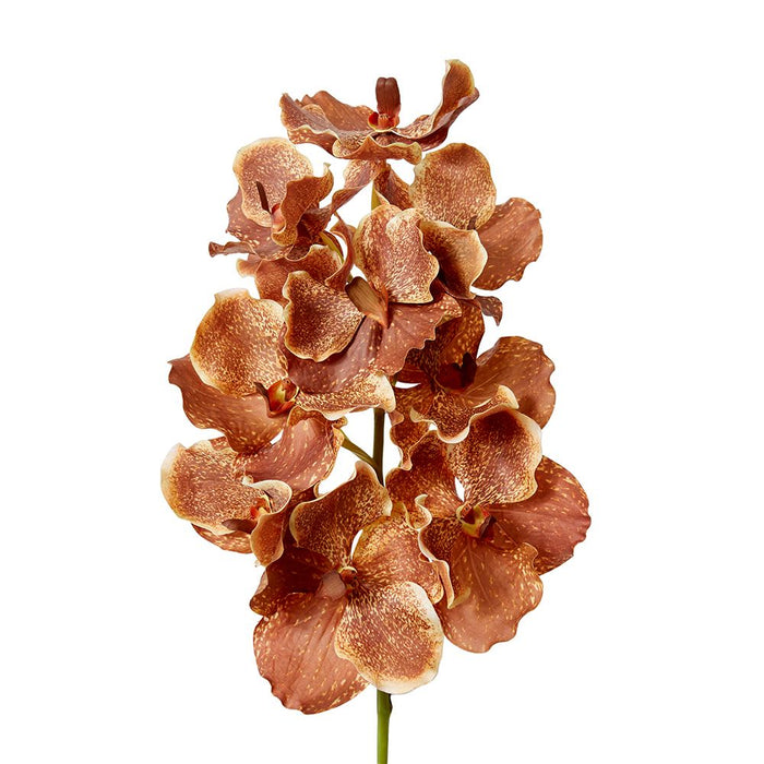 Vanda Grand Orchid Pack of 8 - Dark Orange, 71cm (H)