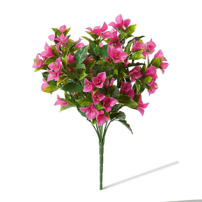 Bougainvillea (Outdoor) Bush Pack of 10 - Hot Pink, 50cm (H)
