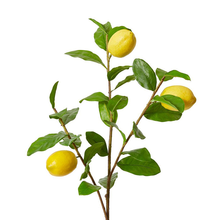 Lemon Spray Pack of 12 - Yellow, 102cm (H)