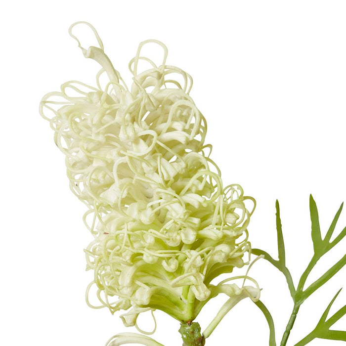 Grevillia Flower Sm Stem Pack of 12 - White, 76cm (H)
