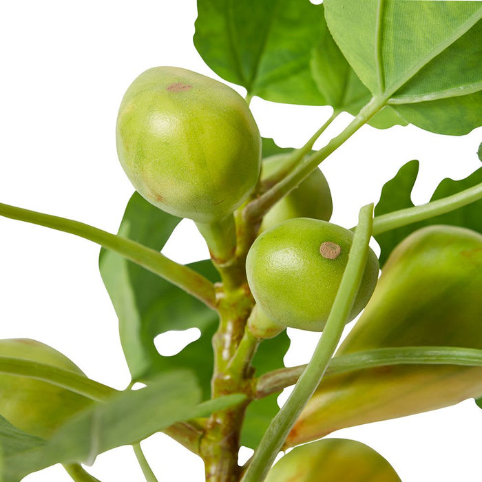 Fig Branch Pack of 6 - Green, 89cm (H)