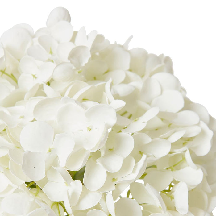 Hydrangea Classic White - White/Clear, 23cm (H)