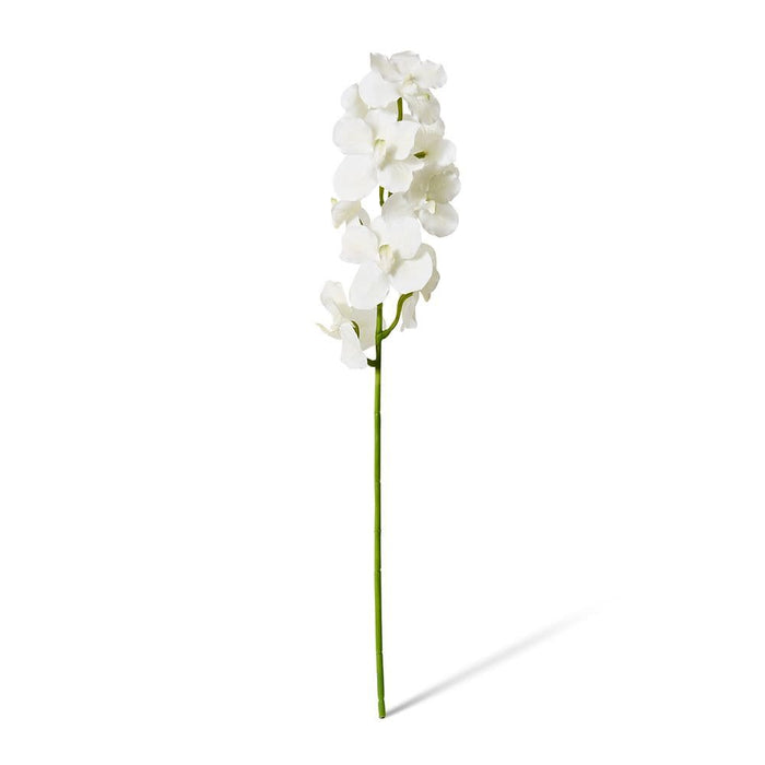 Vanda Orchid Pack of 12 - White, 80cm (H)