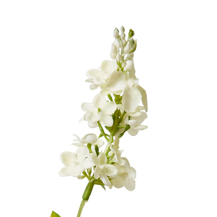 Larkspur Spray Pack of 12 - White, 62cm (H)