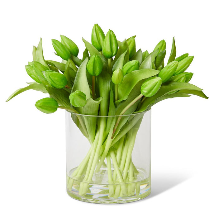 Tulip Bud Green - Green/Clear, 29cm (H)