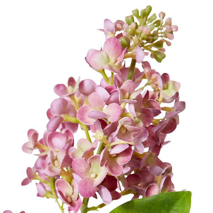 Lilac Spray Pack of 12 - Pink, 66cm (H)