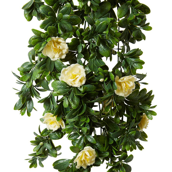 Begonia (Outdoor) Hanging Pack of 10 - White, 89cm (H)