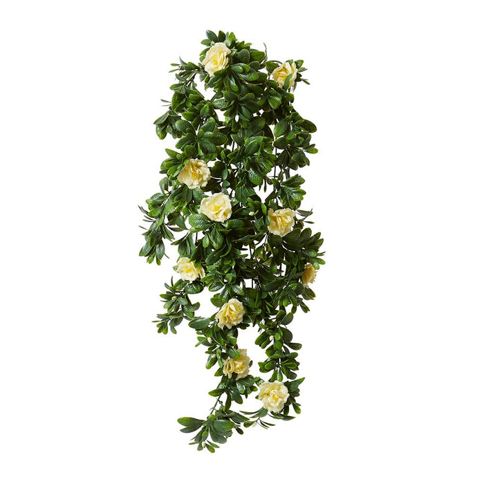 Begonia (Outdoor) Hanging Pack of 10 - White, 89cm (H)