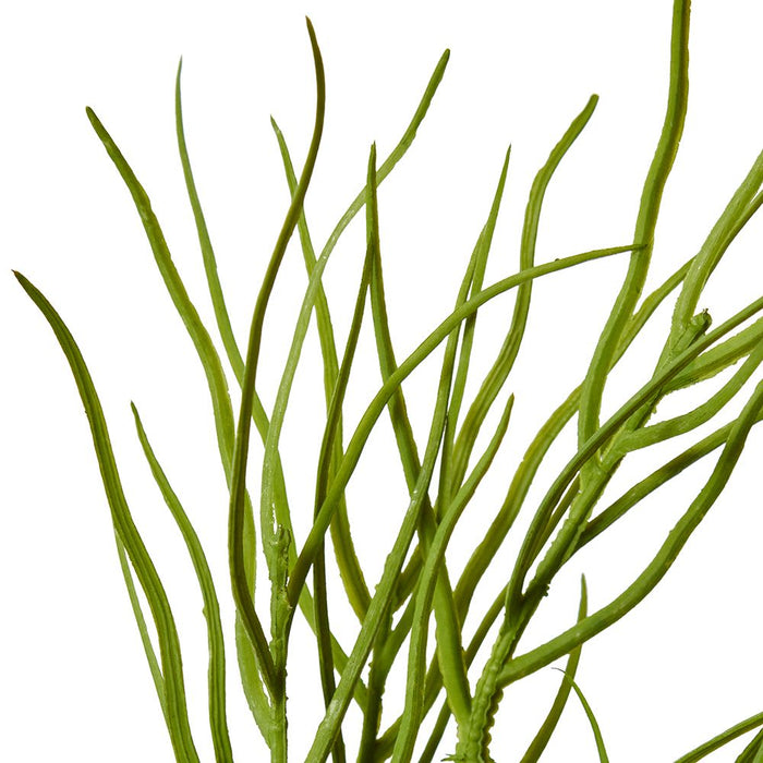 Grevillia Foliage Spray Pack of 12 - Green, 74cm (H)