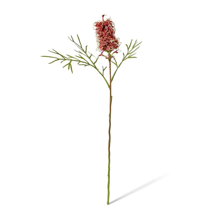Grevillia Flower Sm Stem Pack of 12 - Red, 76cm (H)