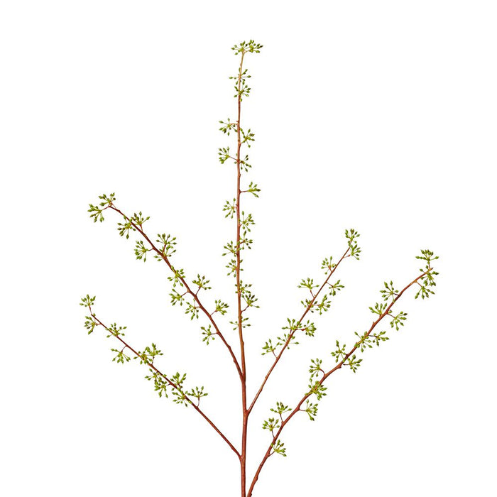 Seeding Eucalyptus Spray Pack of 12 - Green/Red, 85cm (H)