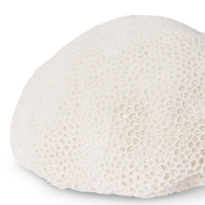 Coral Lamp Starlet - White, 18cm (H)