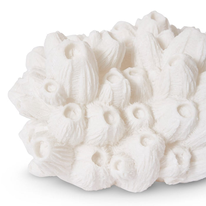 Coral Lamp Sea Lotus - White, 20cm (H)
