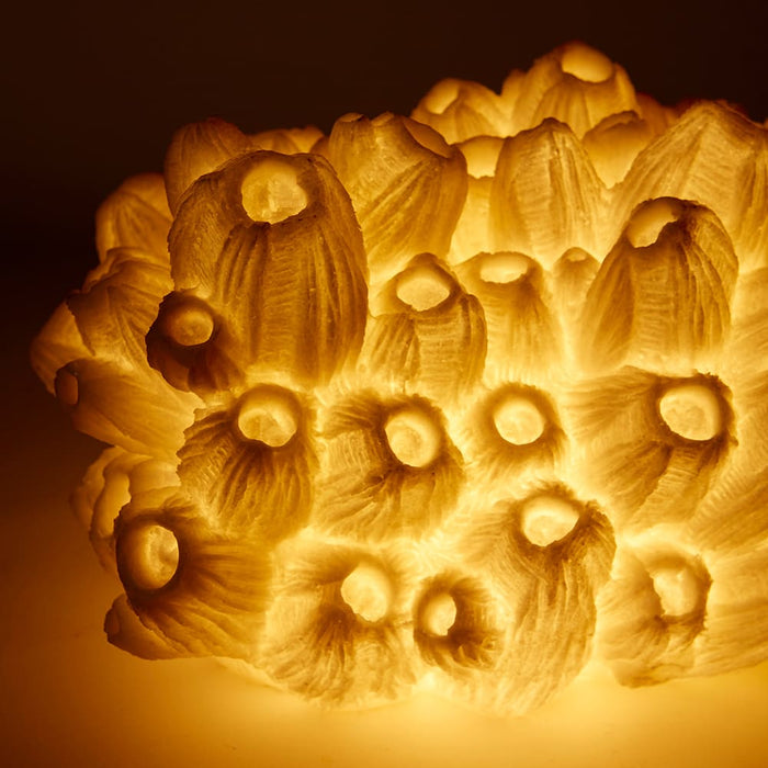 Coral Lamp Sea Lotus - White, 20cm (H)
