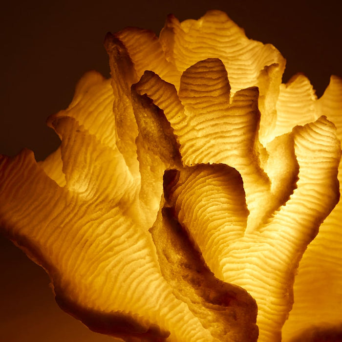 Coral Lamp Leaf - White, 30cm (H)