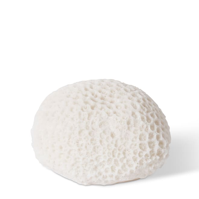 Coral Night Light Starlet - White, 9cm (H)