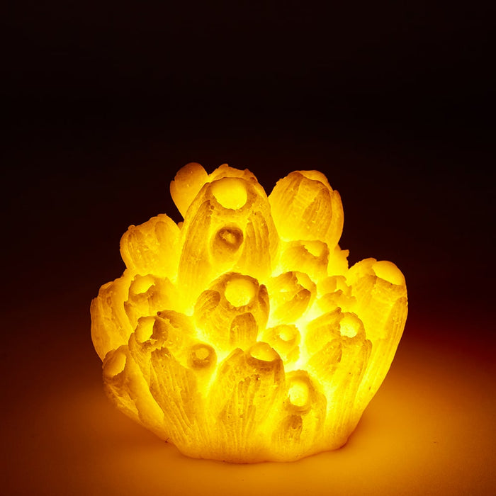 Coral Night Light Sea Lotus - White, 8cm (H)