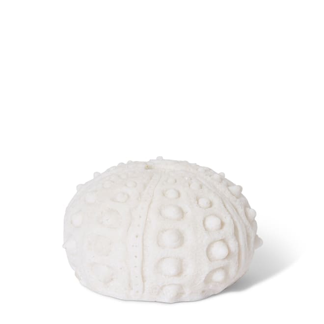 Coral Night Light Sea Urchin - White, 8cm (H)