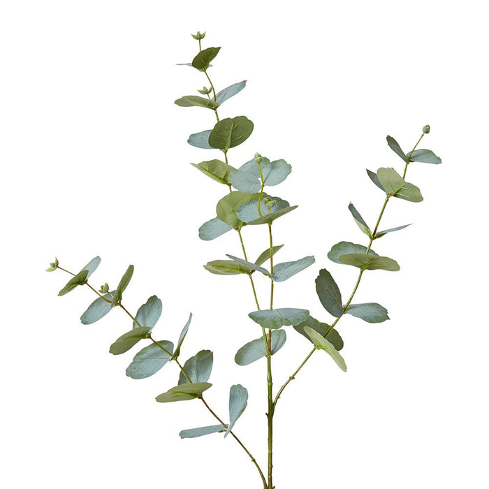 Eucalyptus Spray Pack of 6 - Grey Green, 86cm (H)