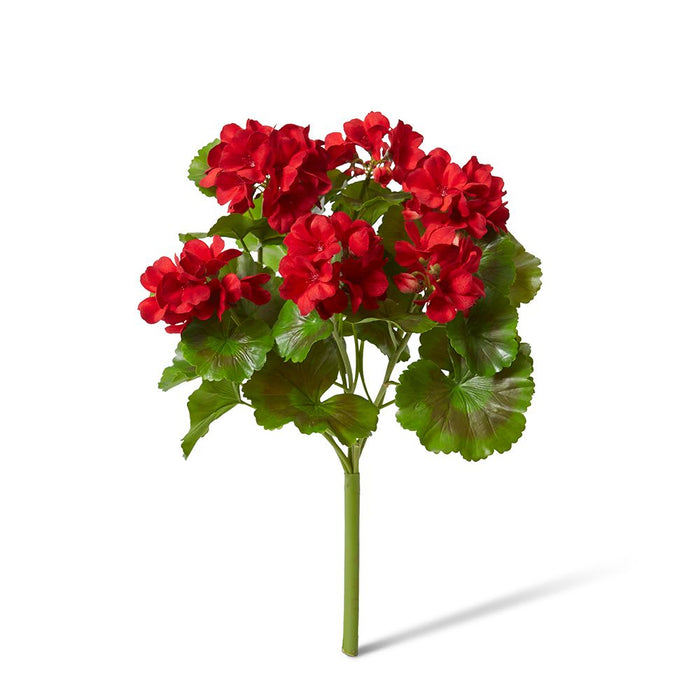 Geranium (Outdoor) Bush Pack of 12 - Red, 41cm (H)